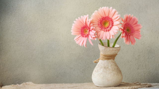 Το φρούτο που κρατά τα λουλούδια φρέσκα για μέρες - Και δεν το φαντάζεσαι