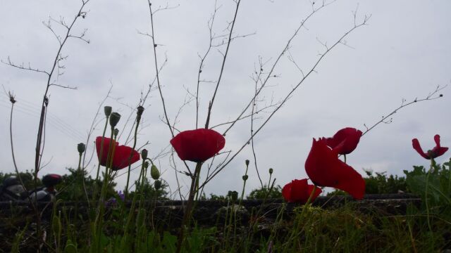 Θα κοιμηθούμε με άνοιξη, θα ξυπνήσουμε με χειμώνα - Η στροφή 180 μοιρών του καιρού την Πρωτομαγιά (Εικόνα & Βίντεο)