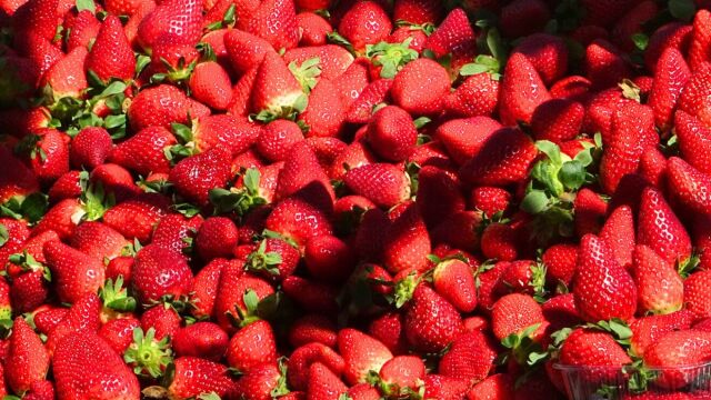 Αυτά είναι τα φρούτα που μπορείς εύκολα να καλλιεργήσεις στο μπαλκόνι σου