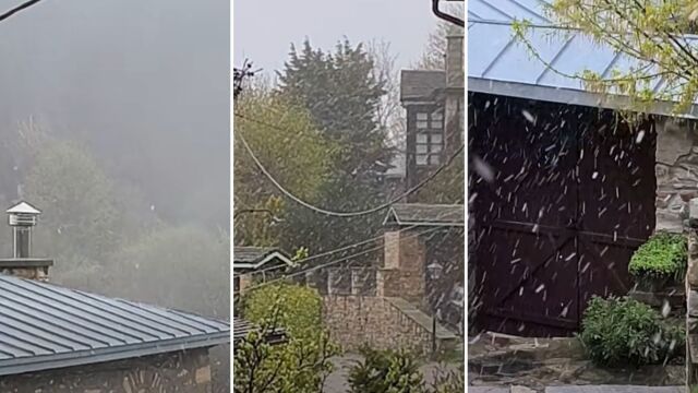 Χειμωνιάτικος 