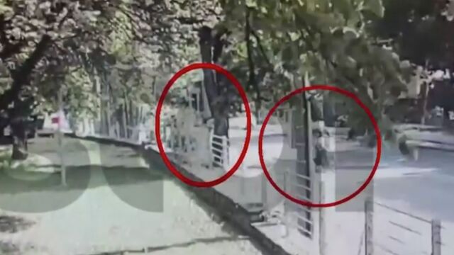 Κηφισιά: Η στιγμή που ο 28χρονος ντελιβεράς επιτίθεται με πέτρα σε γυναίκα  που έβγαζε βόλτα το σκυλάκι της (Βίντεο)