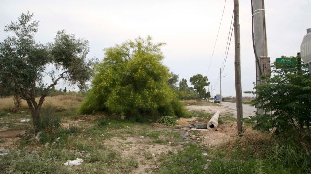Ακαθάριστα οικόπεδα: Αυτές είναι οι προθεσμίες και τα πρόστιμα - Όσα πρέπει να γνωρίζετε