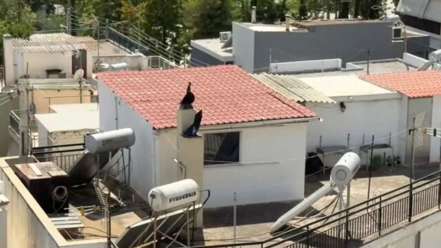 Περιστέρι: Σφίγγει το στομάχι η περιγραφή του διευθυντή του σχολείου για το διαμέρισμα τρώγλη όπου ζούσαν τα έξι αδερφάκια - 