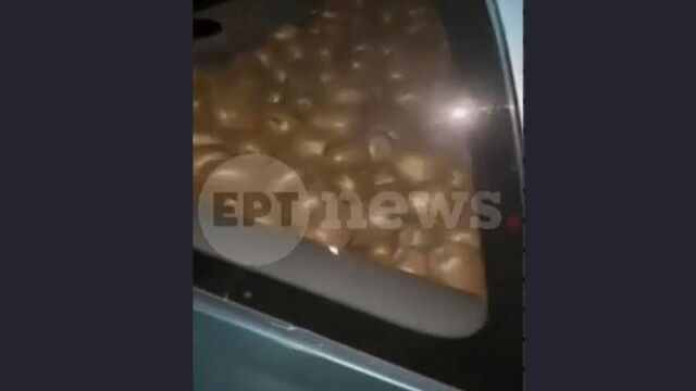 Αγρότες έπιασαν 