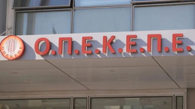 Κρήτη: Έτσι δρούσε το κύκλωμα του ΟΠΕΚΕΠΕ με τους λογιστές και τον αντιδήμαρχο - Έβρισκαν αδήλωτα αγροτεμάχια μέχρι και σε νησιά και έπαιρναν τις επιδοτήσεις μέσω Ε9