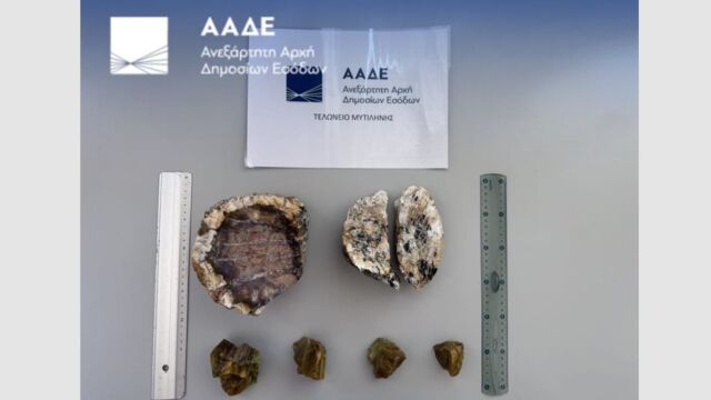 ΑΑΔΕ: Σύλληψη 2 Ολλανδών για κλοπή απολιθωμάτων από το δάσος της Λέσβου