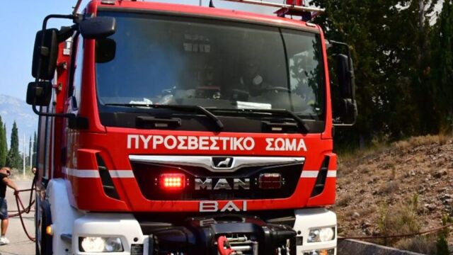 Φωτιά στο Κρυονέρι Αττικής: Επιχειρούν 6 οχήματα με 12 πυροσβέστες