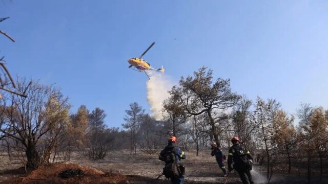 Φωτιά σε Δομοκό και Σαλαμίνα: Δύο συλλήψεις και πρόστιμο πάν