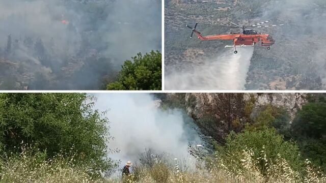 Φωτιά στο Λουτράκι: Συνελήφθη 70χρονος Γάλλος που 