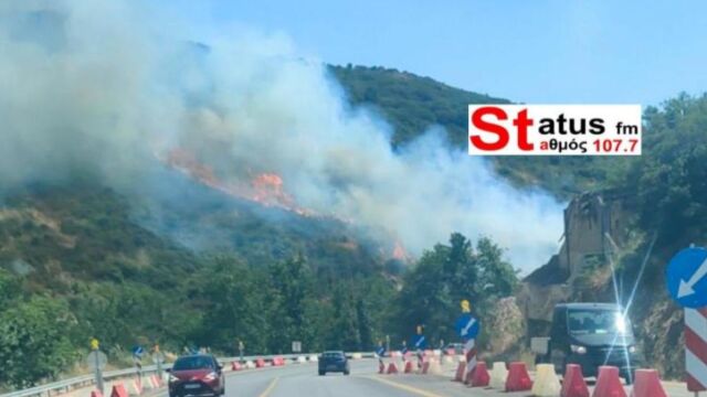 Φωτιά στα Πεύκα Θεσσαλονίκης - Eπιχειρούν και εναέ