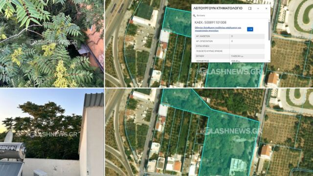 Χανιά: Ακίνητο έχει μετατραπεί σε "ζούγκλα" από την ανεξέλεγ