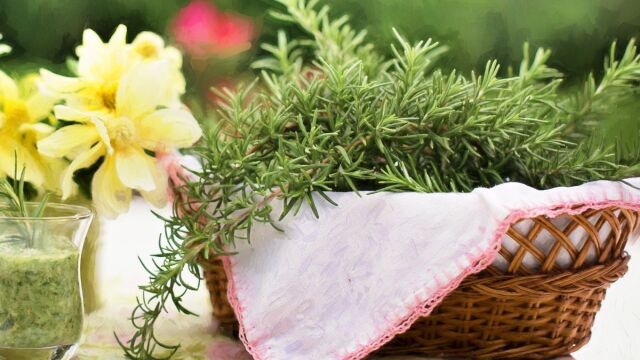 Πώς να κόψετε το δεντρολίβανο για τις συνταγές σας