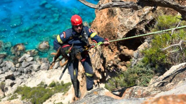 Ζάκυνθος: Η Πυροσβεστική έσωσε σκύλο που έπεσε σε 