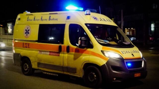 Τραγωδία στα Ψαχνά Ευβοίας: Νεκρή 21χρονη μετά από τσίμπημα σφήκας