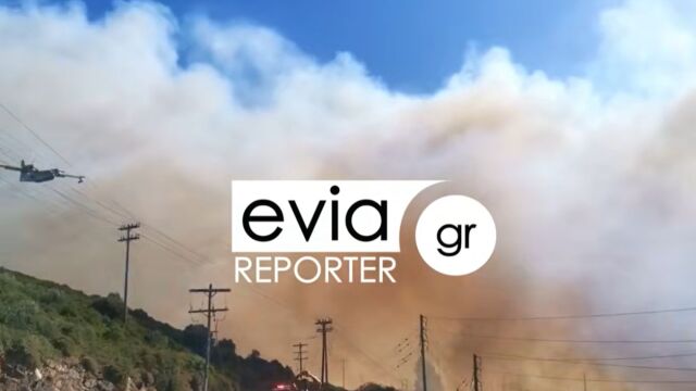 Εύβοια: Καλύτερη η εικόνα της μεγάλης φωτιάς - Επιχειρούν 120 πυροσβέστες και 16 εναέρια μέσα (Εικόνες & Βίντεο)