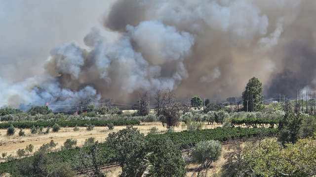 Φωτιά στα Σπάτα: Στη Λεωφόρο Καραμανλή οι φλόγες - Eπιχειρούν 13 εναέρια μέσα, 112 για ετοιμότητα (Εικόνες & Βίντεο)