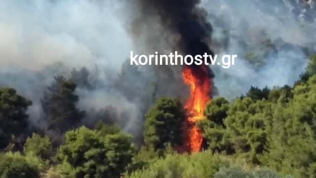Φωτιά τώρα στην Κορινθία: Μήνυμα από το 112 - Απομακρυνθείτε προς Σοφικό