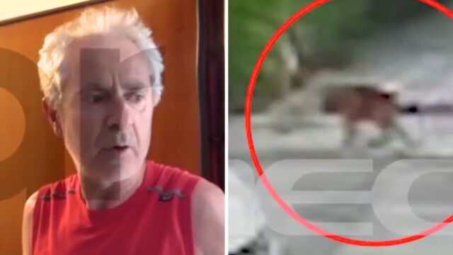 Βριλήσσια: Συγκλονίζει ο 66χρονος που δέχθηκε άγρια επίθεση σκύλου έξω από φούρνο - Ο Μαξ ήταν όλη μου η ζωή, τον έπνιξε επί τόπου (Βίντεο)