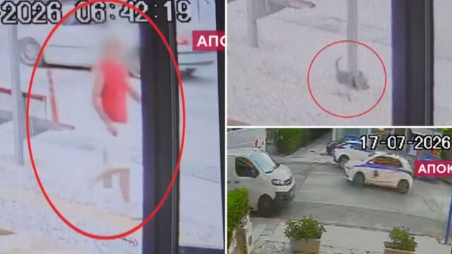 Βριλήσσια: Πώς ο σκύλος λύθηκε και επιτέθηκε στον 66χρονο και το κατοικίδιό του έξω από τον φούρνο - Βγήκαμε και είδαμε έναν κύριο πεσμένο (Βίντεο)