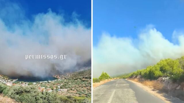 Φωτιά στη Βοιωτία: Ξεκίνησε η εκκένωση του Αγίου Βασιλείου διά θαλάσσης - 250 άτομα ετοιμάζονται να απομακρυνθούν, φόβοι ότι υπάρχουν κι άλλα άτομα αποκλεισμένα (Βίντεο)