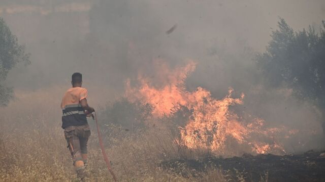 Live Φωτιές: Δραματικές στιγμές στην εκκένωση από τον Άγιο Βασίλειο Βοιωτίας - Δύο μέτωπα και στην Αργολίδα, μπαράζ μηνυμάτων από το 112  (Εικόνες & Βίντεο)