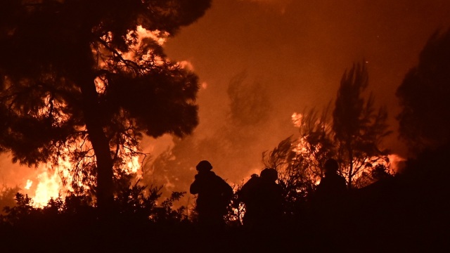 Live Φωτιές: Πύρινος εφιάλτης στο Πόρτο Γερμενό, έφτασε στην κορυφή του Κιθαιρώνα, κατεβαίνει προς Βενίζα, εκκενώνονται και Αλεποχώρι, Ψάθα, Λούμπα, Ζάχουλη - Στις φλόγες η Φωκίδα (Εικόνες & Βίντεο)