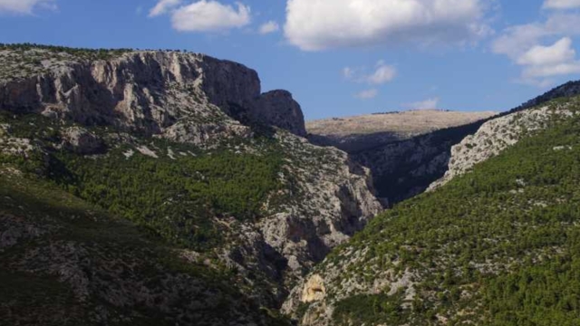 Πάρνηθα: ΙΧ με τέσσερα άτομα έπεσε σε πρανές - Επιχείρηση Πυροσβεστικής και ΕΚΑΒ