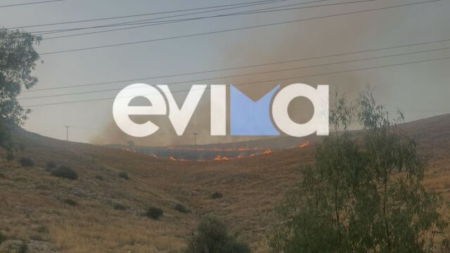 Φωτιές στην Εύβοια: Καλύτερη η εικόνα της πυρκαγιάς κοντά στη Χαλκίδα (Εικόνα & Βίντεο)
