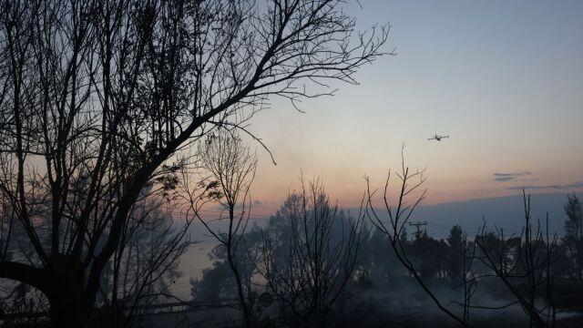 Φωτιά στη Χαλκιδική: Το μεγάλο στοίχημα είναι να μην περάσει η πυρκαγιά στην Ελάνη, λέει καθηγητής Δασολογίας του ΑΠΘ