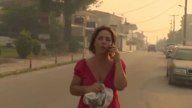 Φωτιά στη Χαλκιδική: Συνελήφθησαν 2 άτομα για επίθεση σε βάρος τηλεοπτικού συνεργείου του Mega τη στιγμή που δημοσιογράφος έκανε ρεπορτάζ (Βίντεο)