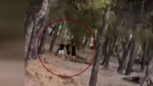 Πεντέλη: Ταυτοποιήθηκαν και εντοπίστηκαν οι 13χρονοι που έβαλαν φωτιά σε πευκοδάσος για challenge - Σχηματίζεται δικογραφία για απόπειρα εμπρησμού (Βίντεο)