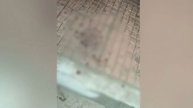 Άγιος Δημήτριος: Πήγε να τον σκοτώσει, τoν κάρφωσε στο κεφάλι και στην πλάτη - Ξεσπούν οι γονείς του 18χρονου που δέχθηκε επίθεση με μαχαίρι από 23χρονο (Βίντεο)