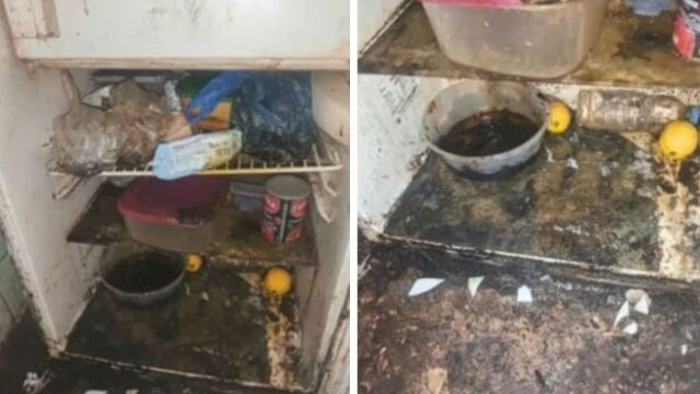 Καλλιθέα: Διαμέρισμα - υγειονομική βόμβα μετά από 6 χρόνια ενοικίασης - Παραδόθηκε σε άθλια κατάσταση (Βίντεο)