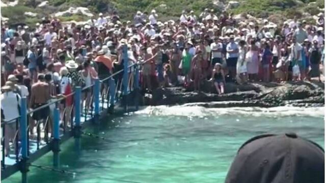 Μπάλος: Βουλιάζει από κόσμο η διάσημη παραλία - Viral ο απίστευτος συνωστισμός (Bίντεο)