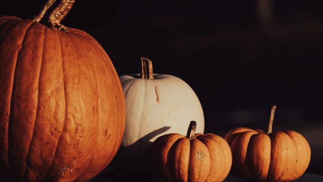 Halloween 2026: Πότε πέφτει