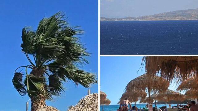 Καιρός: Υποχωρούν από την Κυριακή τα μελτέμια, πότε θα ανεβεί η θερμοκρασία - Η πρόγνωση του Κώστα Λαγουβάρδου (Βίντεο)