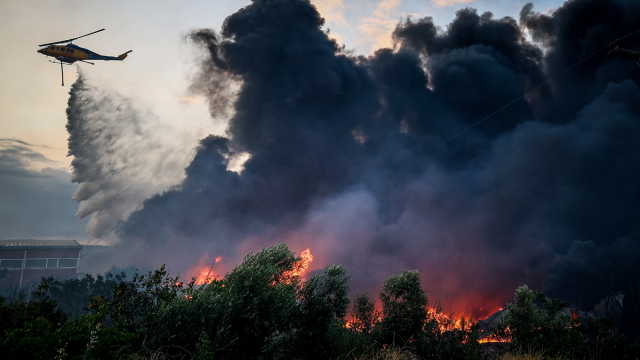 Live Φωτιά στο Ωραιόκαστρο: Καλύτερη εικόνα στο μέτωπο - Κάηκαν επιχειρήσεις, 4 πυροσβέστες στο νοσοκομείο (Εικόνες & Βίντεο)