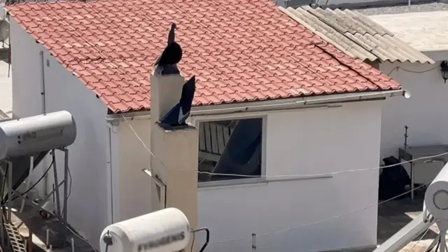 Περιστέρι: Ξεσπά η μητέρα των παιδιών που ζούσαν μέσα στις ακαθαρσίες - 
